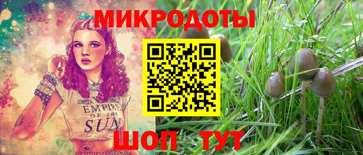 Псилоцибиновые грибы мицелий  Вход с VPN  Калининград  Галлюциногенные грибы GOLDEN TEACHER 